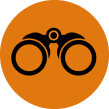 icon of binoculars