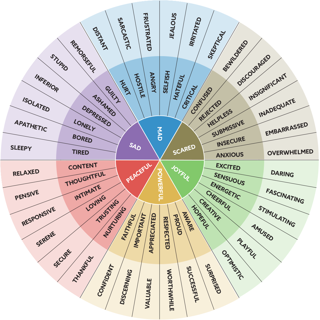 Feeling Wheel graphic